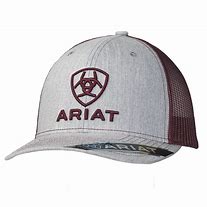 Ariat Grey and Burgundy Logo Men's Cap     A300012009