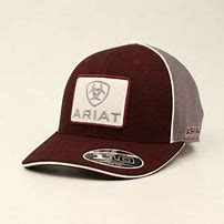 Ariat Burgundy with Cream Embroidered Ariat Patch Men's Caps   A300004809