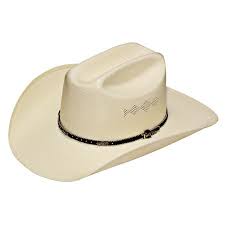 Twister Mens 8X Shantung Western Cowboy Hat  T7153848